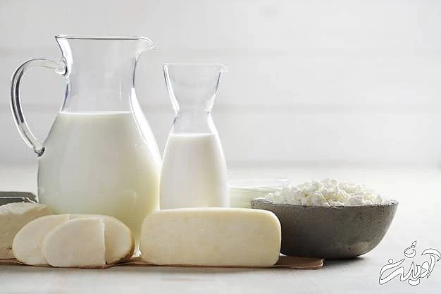 دانستنی در مورد پنیر فواید پنیر